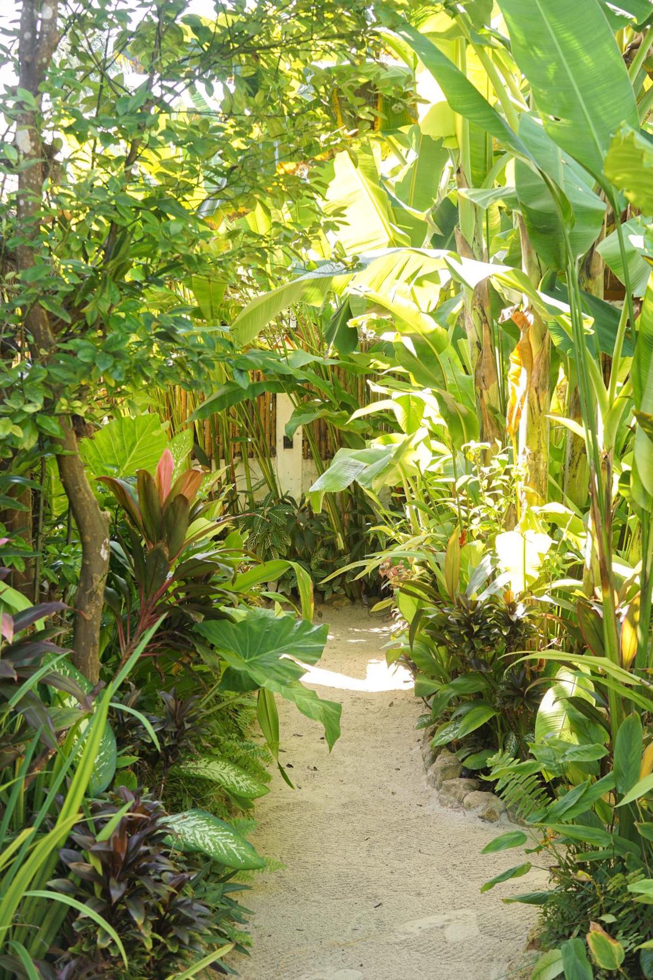 Greenhouse Siargao Roadside Boutique Apartments General Luna  Eksteriør billede